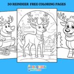 30 Free Reindeer Coloring Pages for kids
