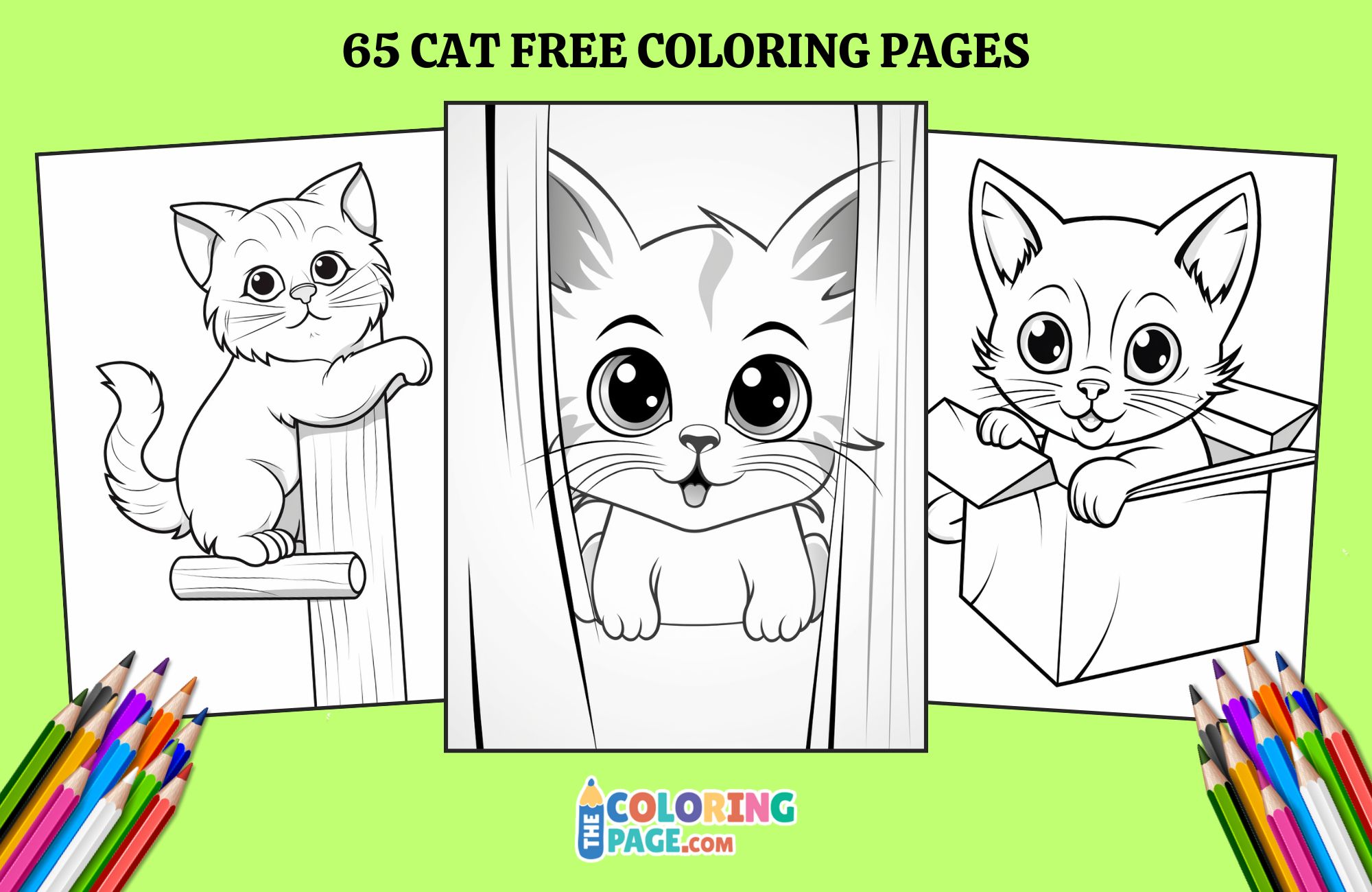 65 Cat Coloring Pages for kids
