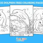 25 Free Dolphin Coloring Pages For Kids