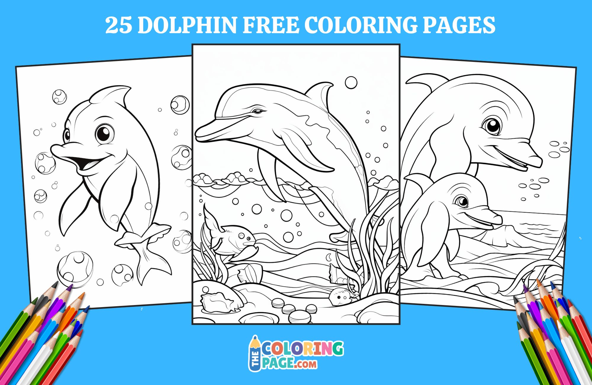 25 Free Dolphin Coloring Pages For Kids